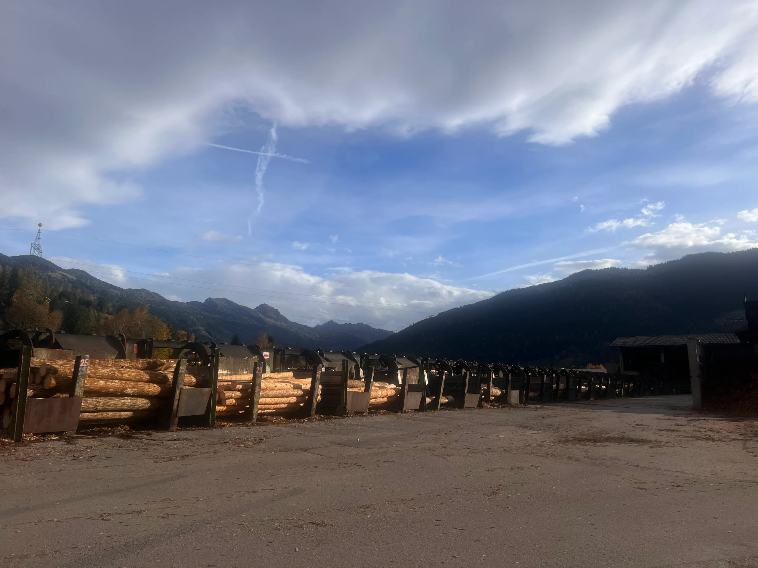 Log sorting plant with debarker - Image 7